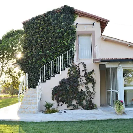 Bed and Breakfast Colle Salomonio Nepi