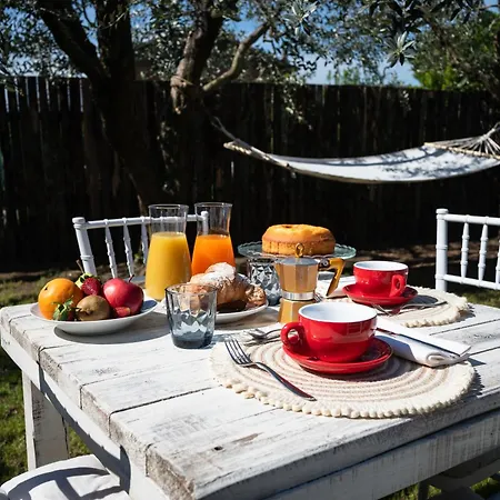 Colle Salomonio Bed and Breakfast Nepi